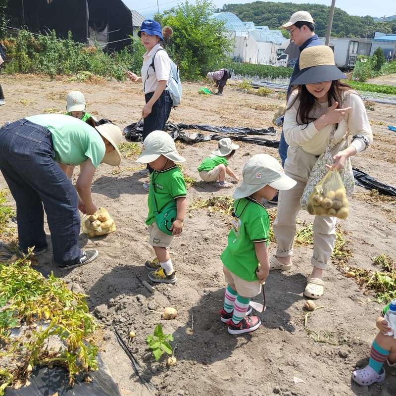 땅 속에서 꺼낸 선물