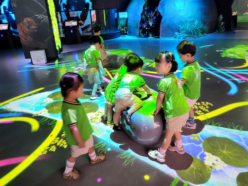 DMZ 평화 체험 놀이