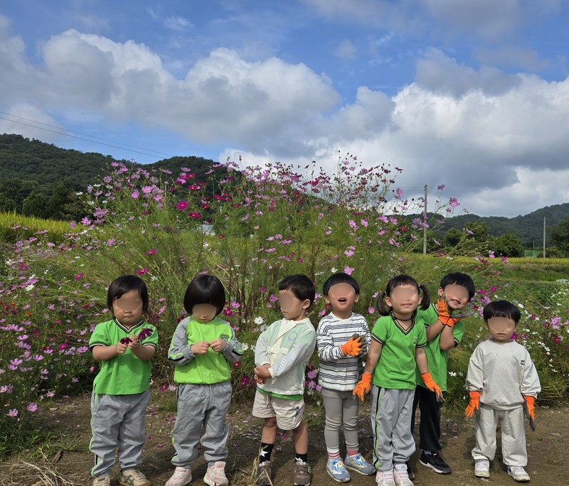 코스모스 향기 따라 걷는 길